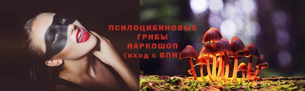шишки Костерёво