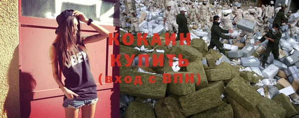 дмт Алексин